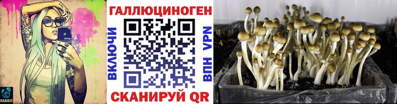 Купить закладки  Бутурлиновка  Псилоцибиновые грибы Magic Shrooms 